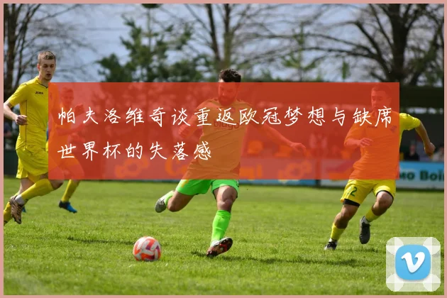 帕夫洛维奇谈重返欧冠梦想与缺席世界杯的失落感