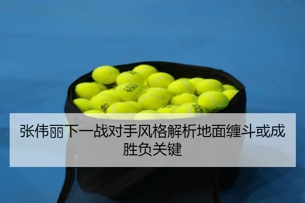 张伟丽下一战对手风格解析地面缠斗或成胜负关键